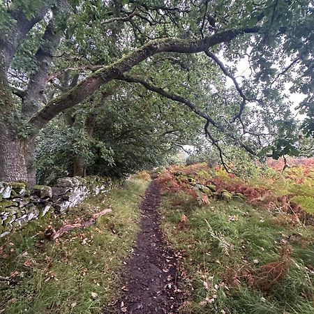 Red Squirrel Cottage Strathtay Exteriör bild